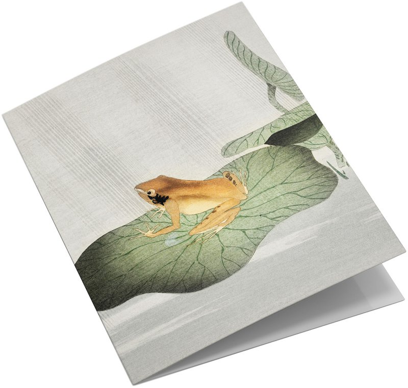 Conjunto de tarjetas de felicitación Estampados de animales