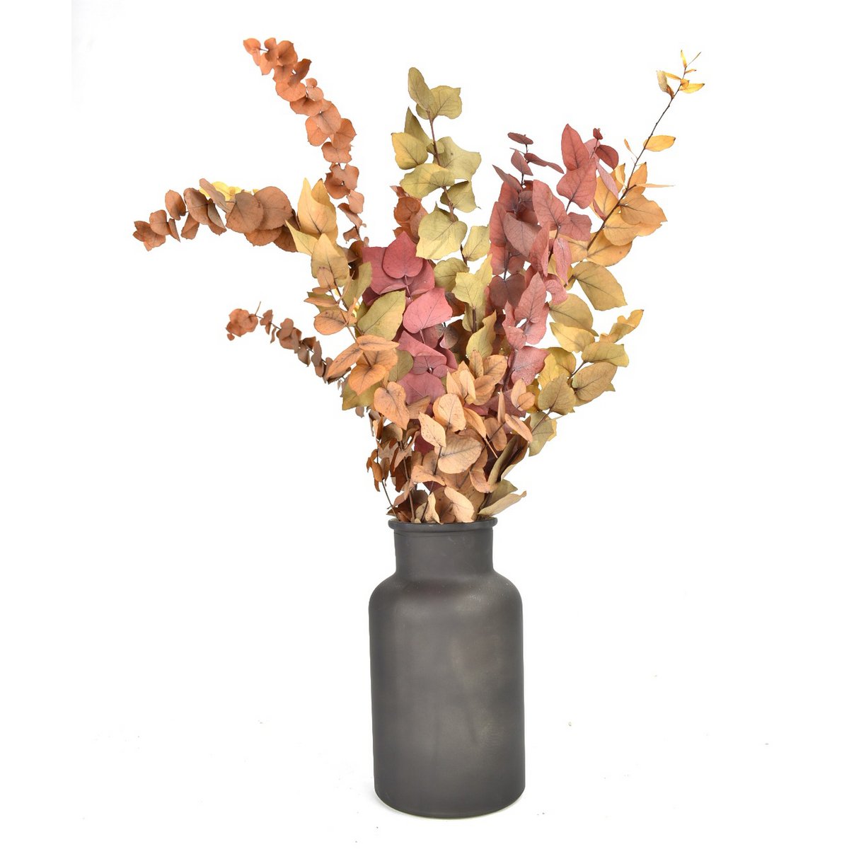 Eucalyptus - Mélange d'automne - fleurs séchées