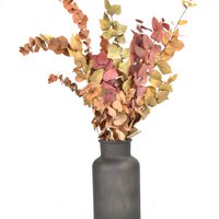 Eukalyptus - Herbstmischung - Trockenblumen