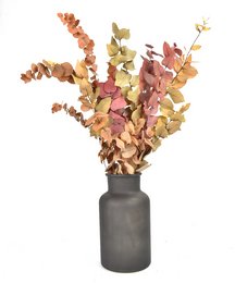 Eucalyptus - Autumn Mix - dried flowers