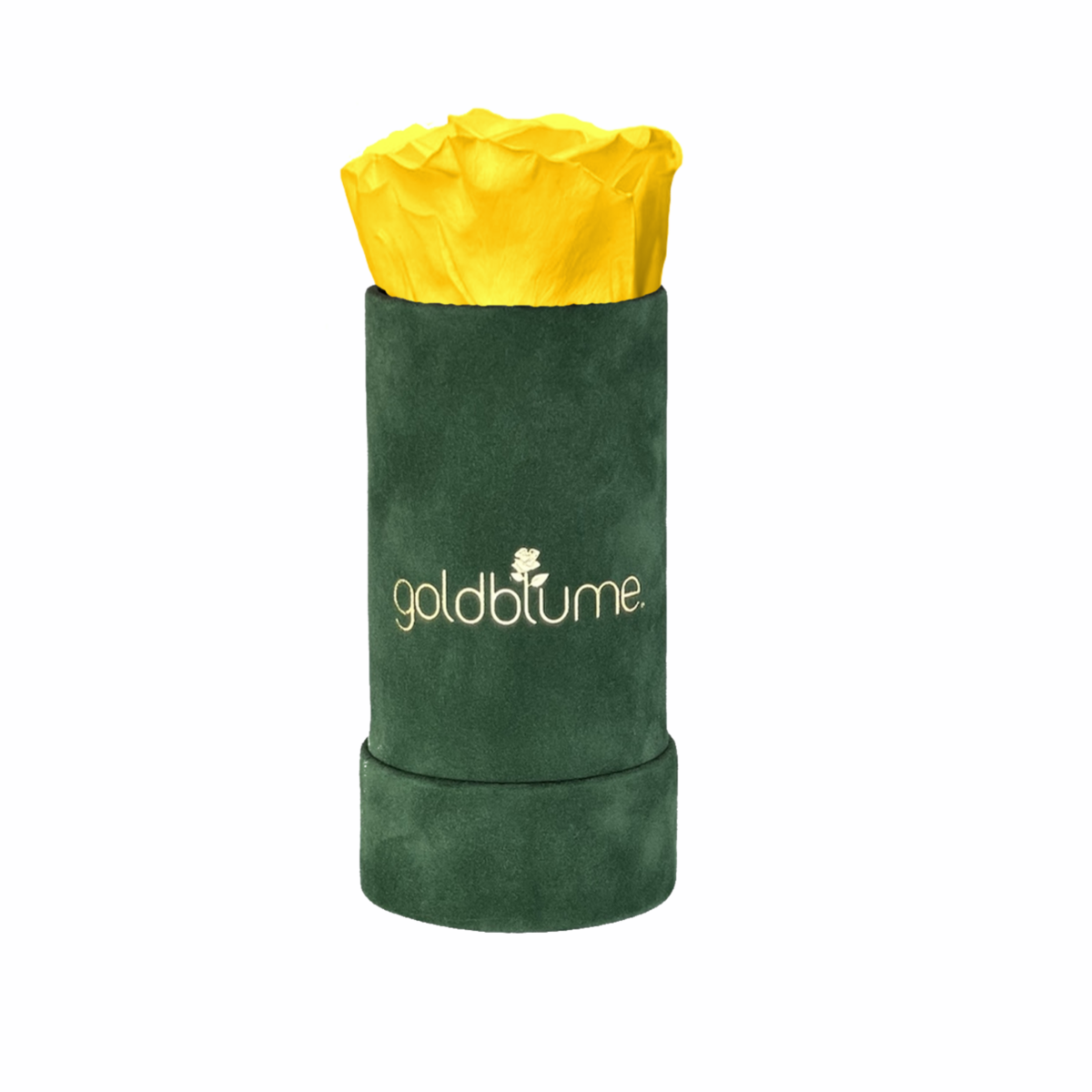 Velvet Green Collection