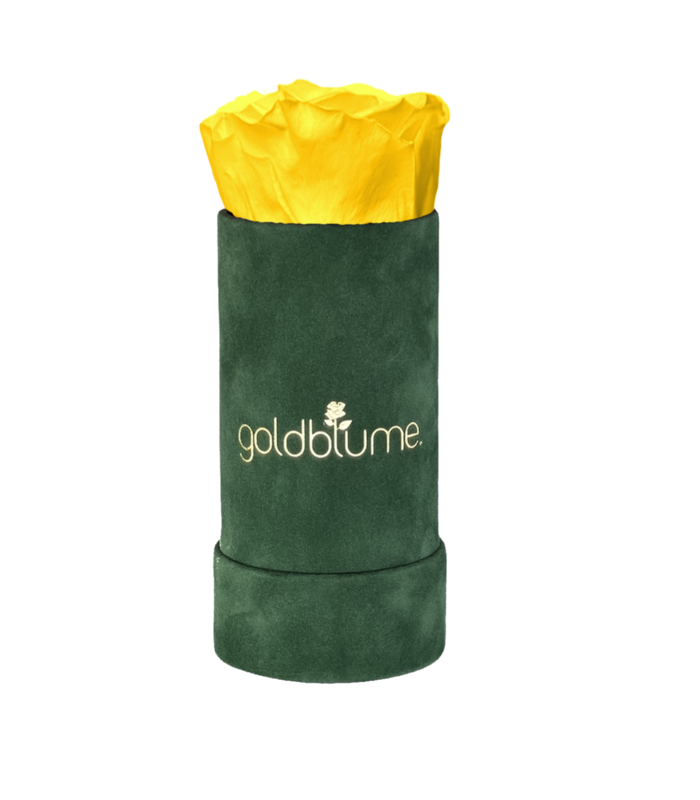 Colección Terciopelo Verde
