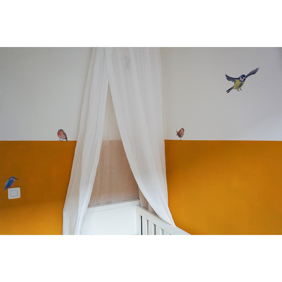 Wall sticker wren