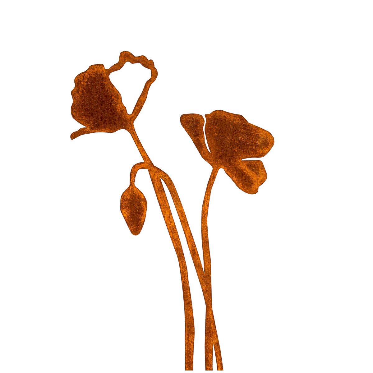 Poppy with flower bud | corten stem