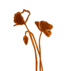 Mohn mit Blütenknospe | Cortenstamm
