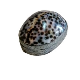 Oval-shaped jewelry box with a spotted shell-like pattern, suitable for storing small jewelry items.