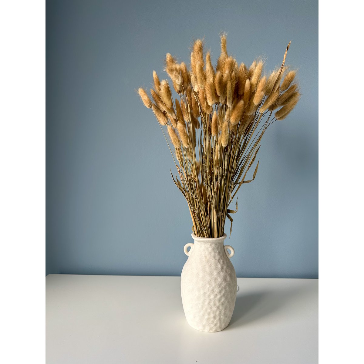 Natural Bunny Tails (Lagurus) 50g
