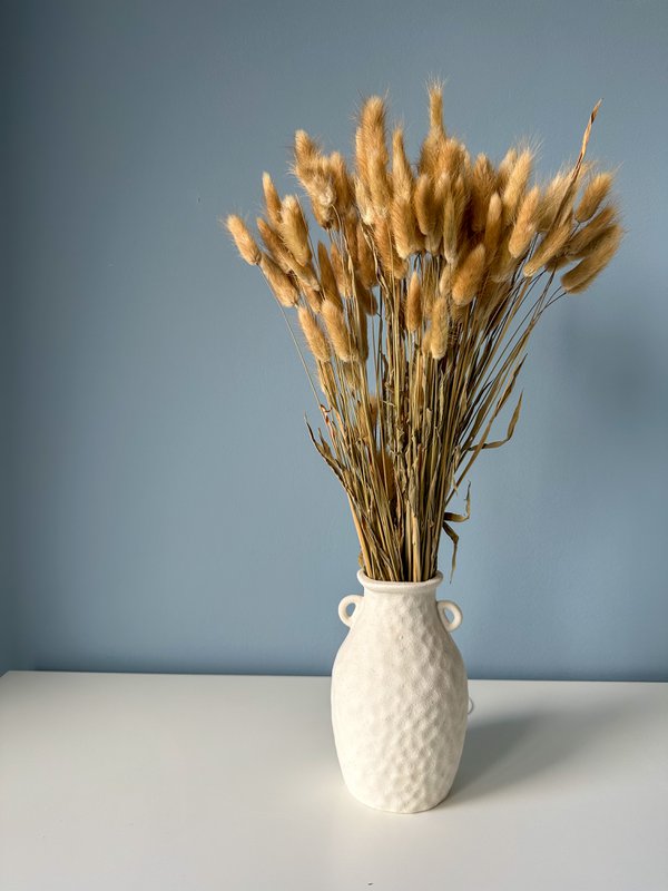 Natural Bunny Tails (Lagurus) 50g