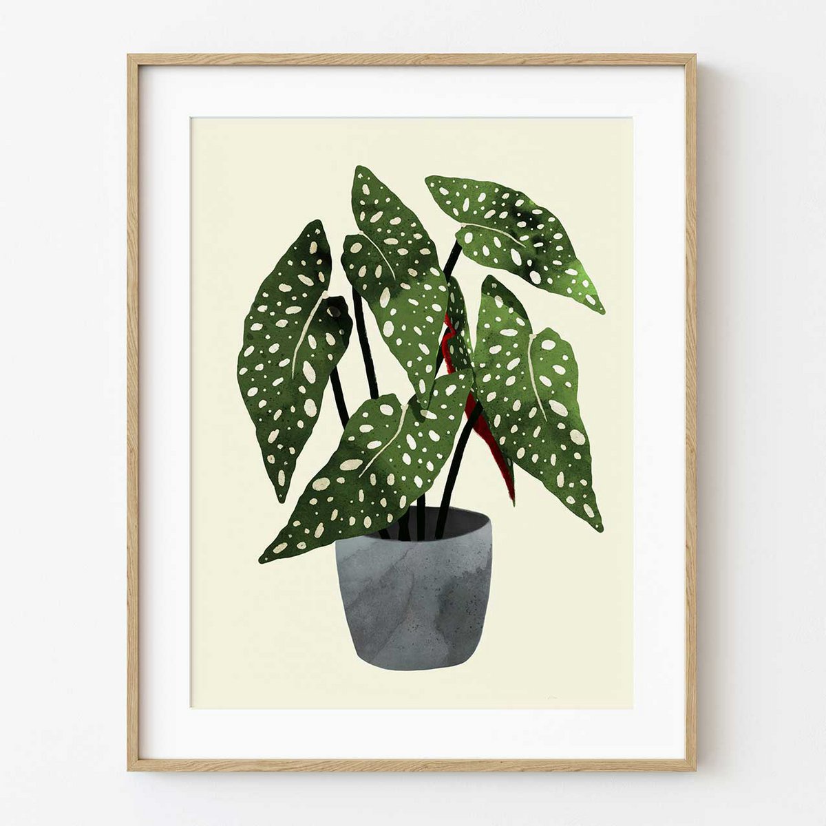 21x30 cm (A4)