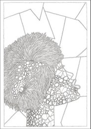 Libro di poster da colorare 2 A3