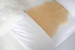 Medicinal Sheepskin | 4 sizes