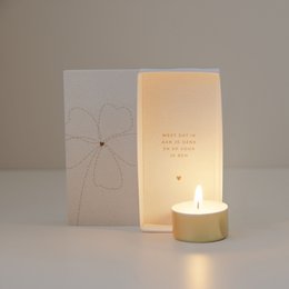 Light in a box bloem