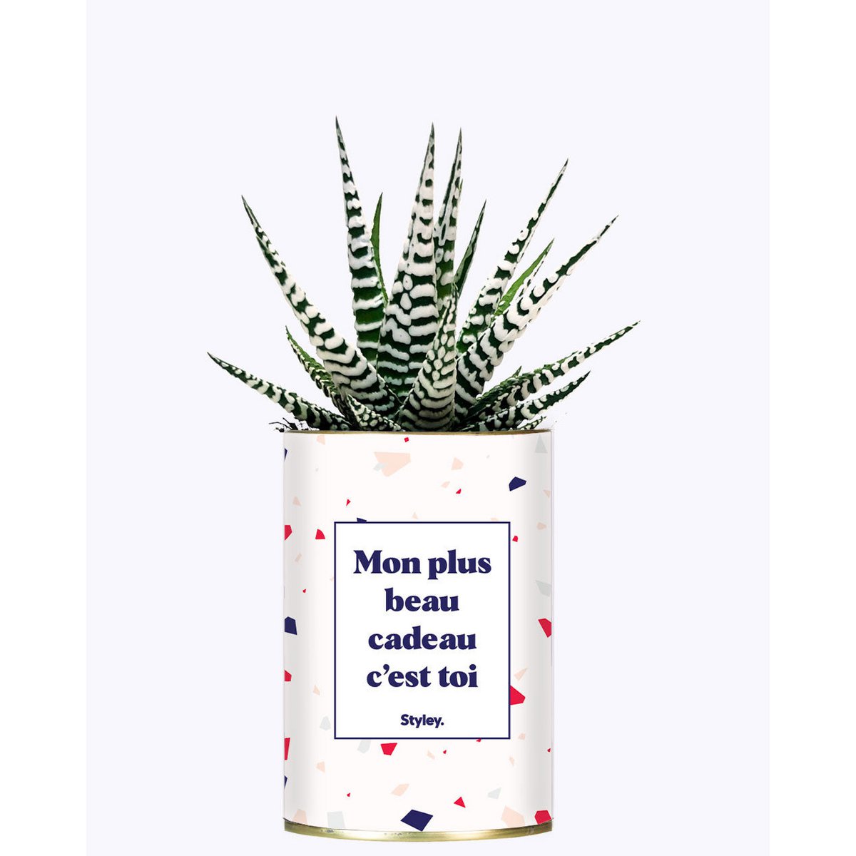 Mon plus beau cadeau c'est toi - Cactus