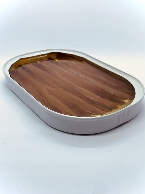 ANCHOVIES FROM THE  CANTABRIC SEA. SPRING SEASON CATCH
