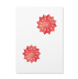 Red poinsettia flower design on a white postcard for Christmas.