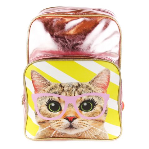 Backpack Cat with Pink Glasses