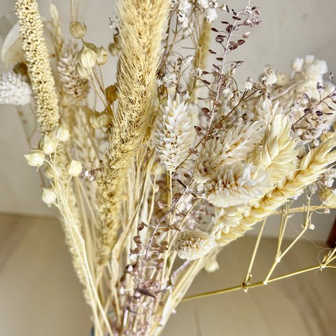 BLOOMY Bouquets Dried flowers Beige