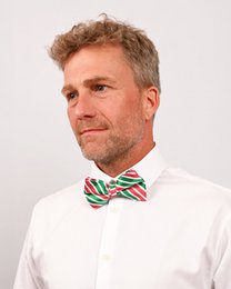 Bowtie - Green and red stripes