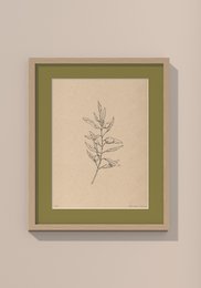 Framed illustration of an olive branch in various sizes and colors, suitable for wall art in a home or office.