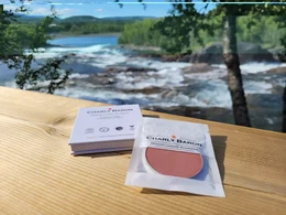 Refill - Organic Mineral Blush Bloomingdale Makeup Copy