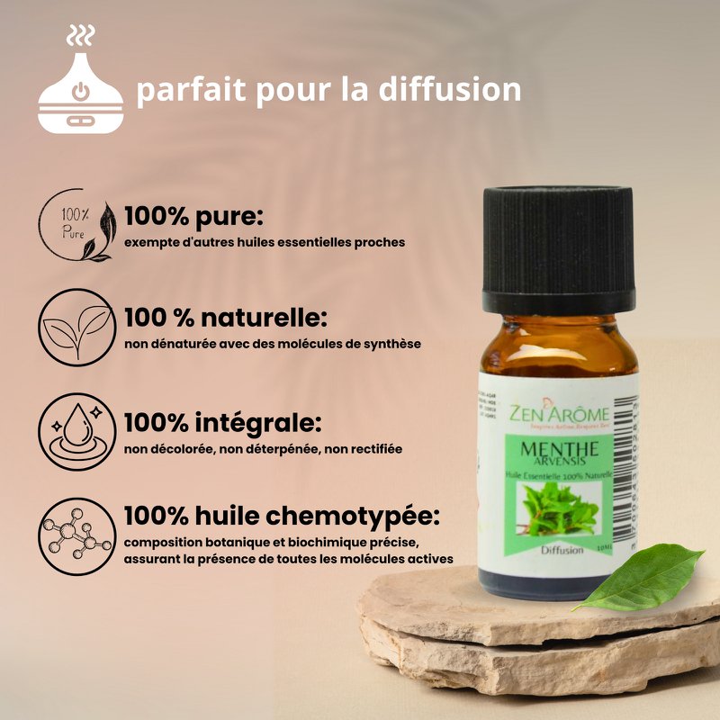 Etherische olie - Mint Arvensis - 10 ml - Gebruik voor diffusie - Verpakt in Frankrijk