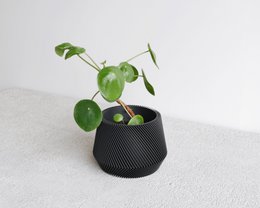 OSLO Kamerplanter