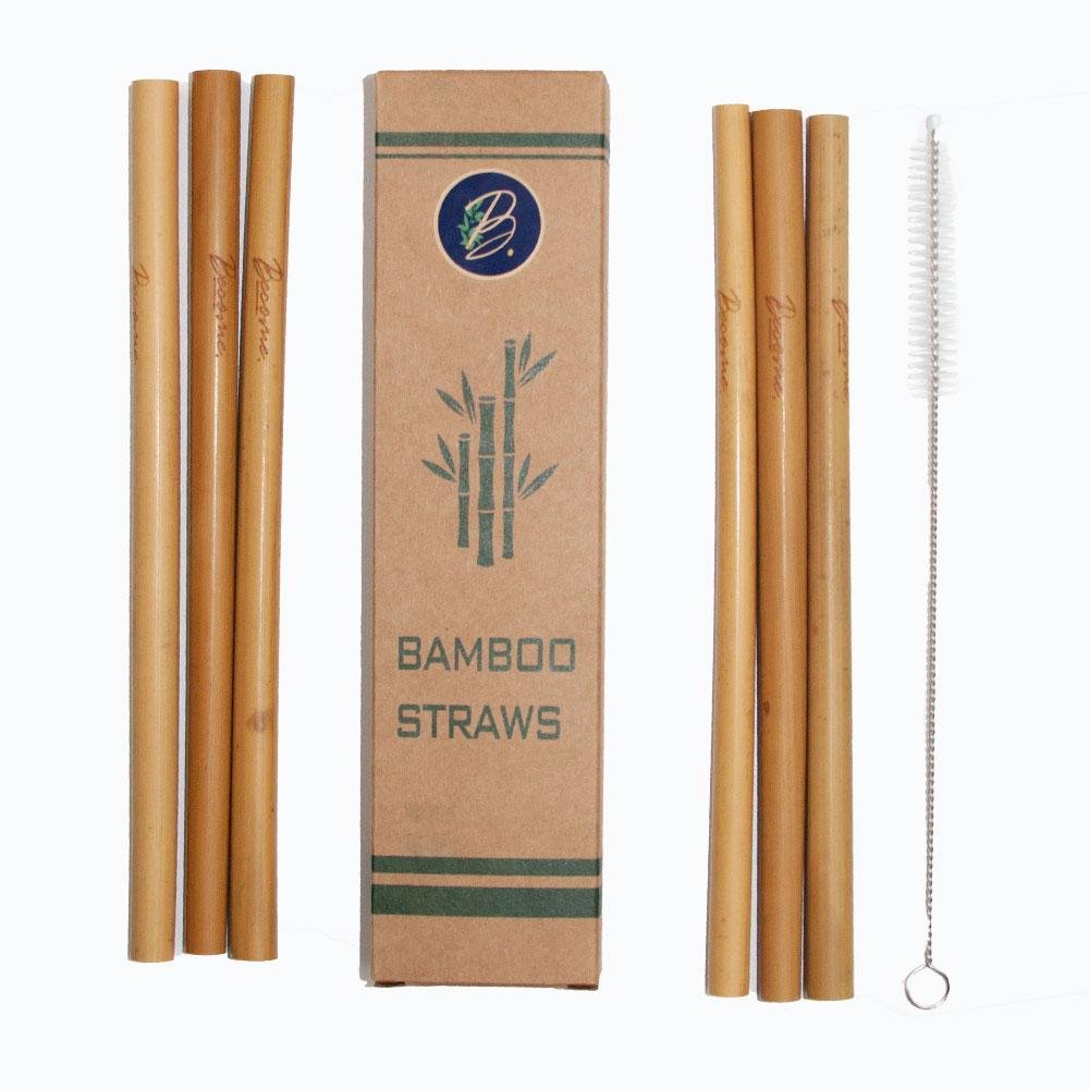 Bamboo straws (set of 6+brush)