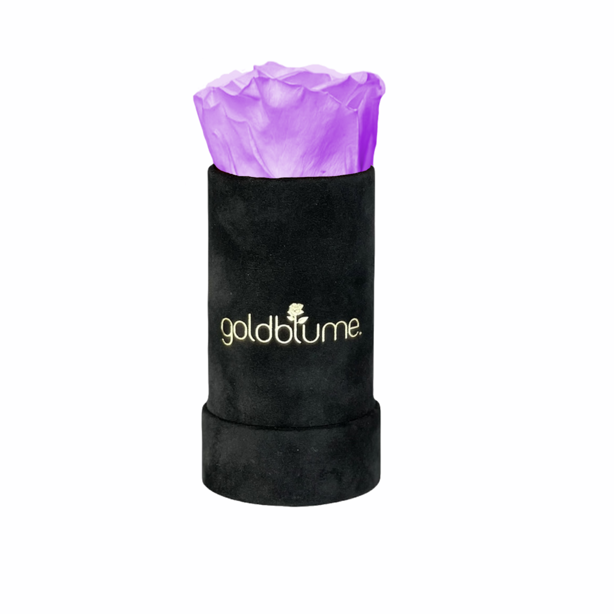 Velvet Black-collectie