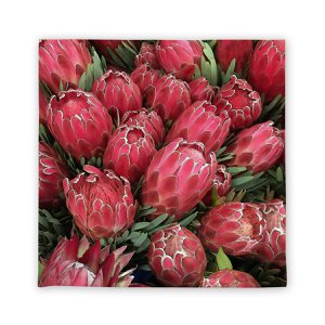 Gezichtsflanel in Protea Red