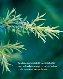 Aktivt kul & Tea Tree ansigtsrens