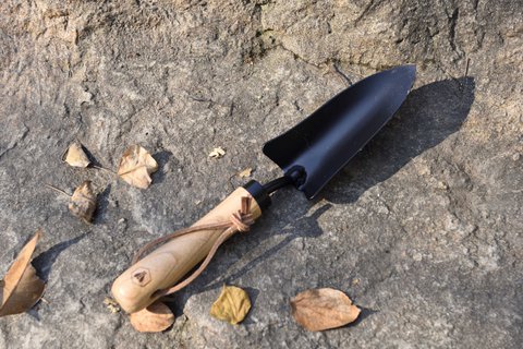 LAGUIOLE TRANSPLANTOIR Hand Transplanter
