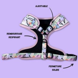 Pastel Classic Harness