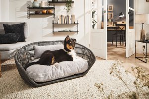 PRADO - Design-Hundebett TUDOR
