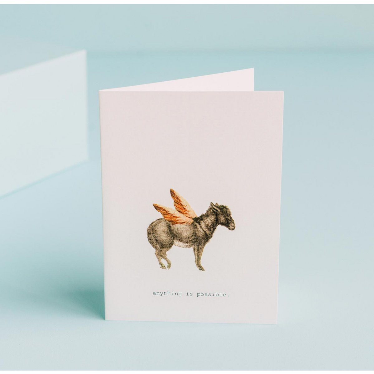 Anything is Possible Greeting Card
