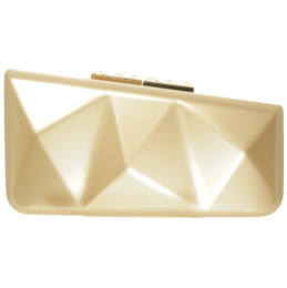 Minaudiére in Platinum Gold