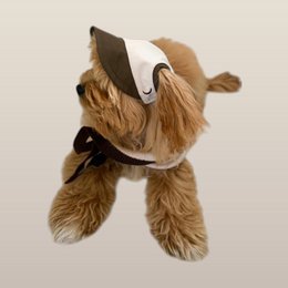Chalky Hat – Protection UV et pluie pour animaux de compagnie – Taupe français