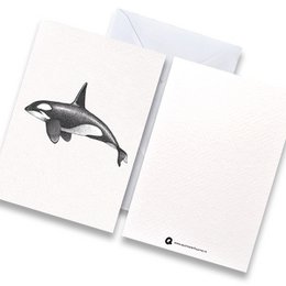 Card orca black and white with envelope