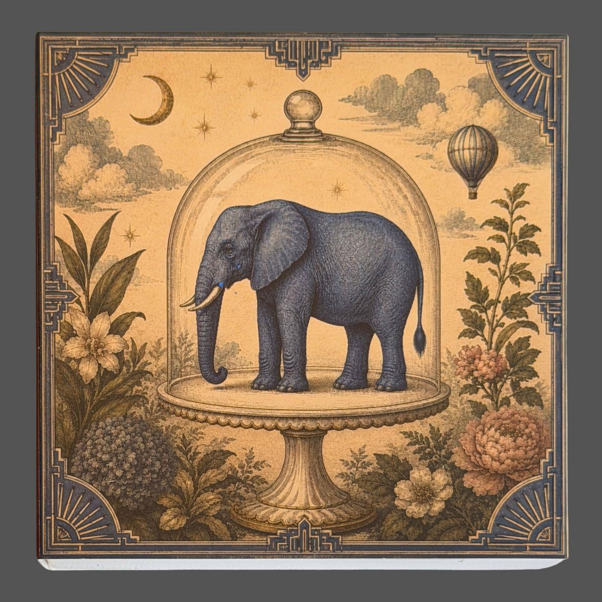 Curiosity Elephant Matches