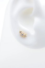 Roestvrijstalen piercings