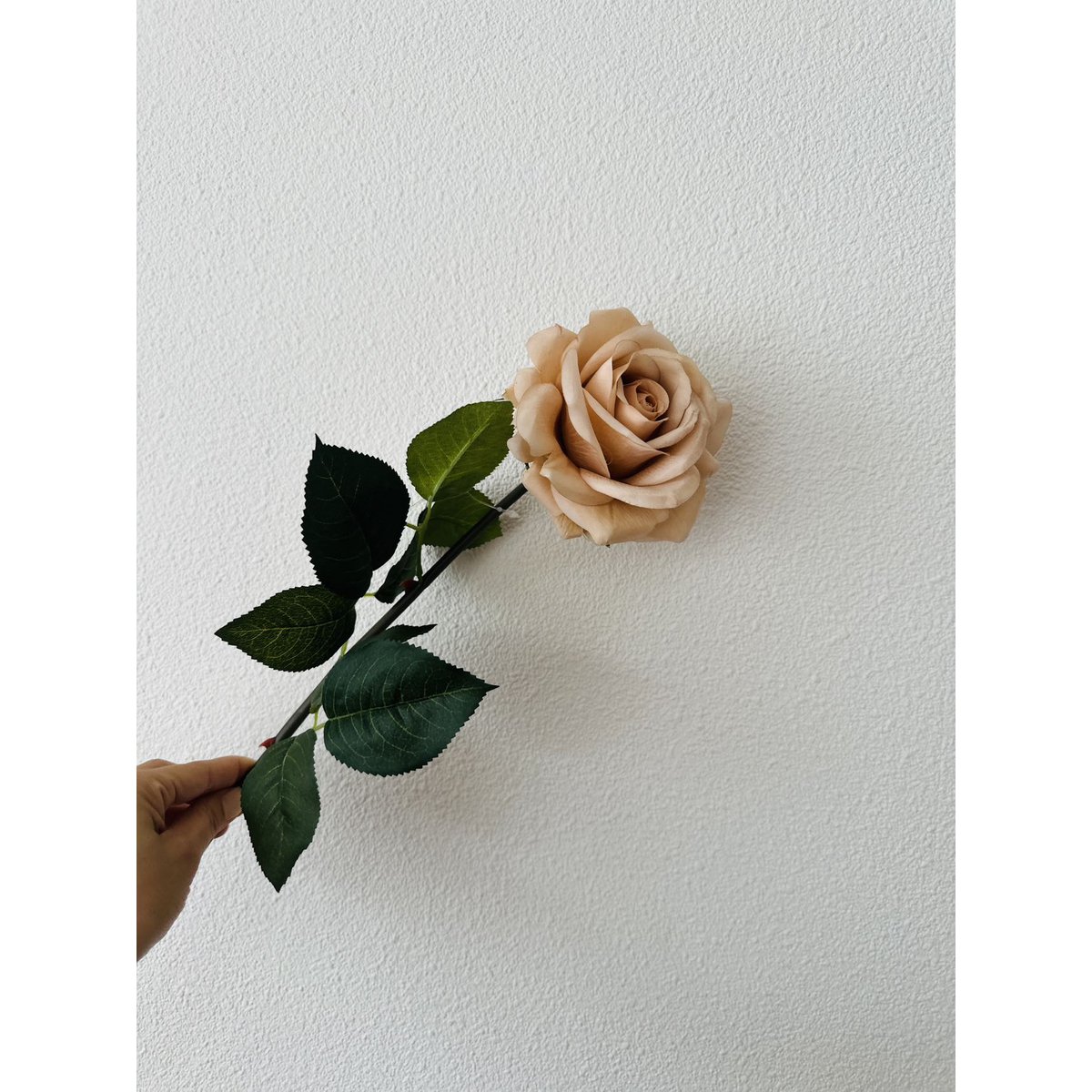 QMF Hand Touch Rose72cm Champagne 2STK