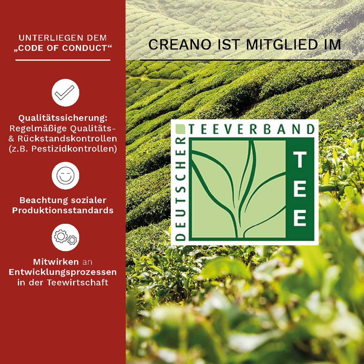 Creano ErblühTee-Geschenkset mit Glaskanne, 6 Sorten