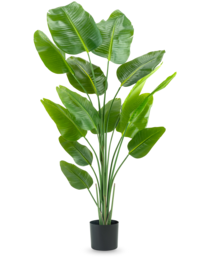 Plante artificielle Strelitzia 180 cm real touch