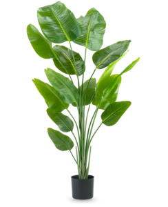 Kunstpflanze Strelitzia 180 cm Real Touch