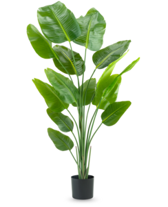Kunstpflanze Strelitzia 180 cm Real Touch