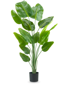 Artificial plant Strelitzia 180 cm real touch