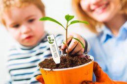 KIT PLASTIQUE RETRACTABLE ETIQUETTE POTAGER
