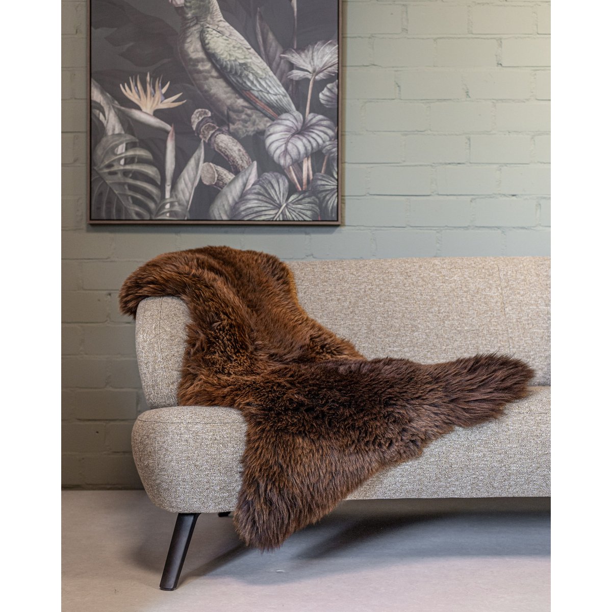 Brown Texel Schaffell | 4 Varianten