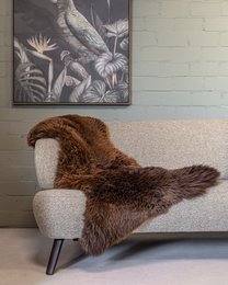 Brown Texel Schaffell | 4 Varianten
