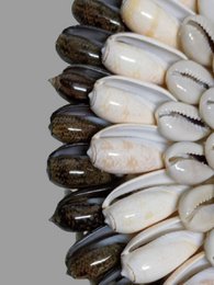 Collana Papua Collana di conchiglie su decorazione di conchiglia standard Copia