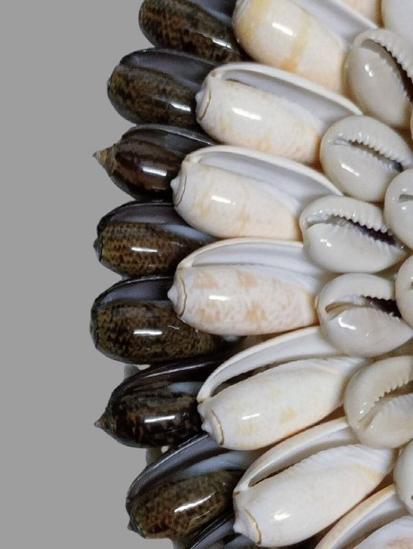 Collana Papua Collana di conchiglie su decorazione di conchiglia standard Copia